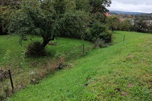 Inwestycja przed realizacją - 1014.jpg