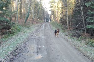 Przed Realizacją - 20171119_0001.jpg