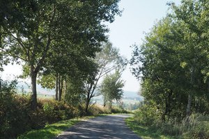 realizacja inwestycji 2018 - odcinek "Dół - Lasek" - 20182109_0005.jpg