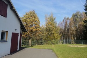 Inwestycja przed realizacją - 10068.jpg