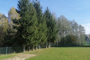 Inwestycja przed realizacją - 10071.jpg