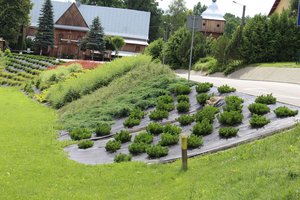 Zagospodarowanie skarpy obok parkingu w Brzezinach Etap I 2016 - 20180406_0001.jpg