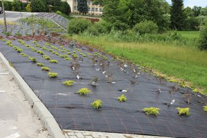 Zagospodarowanie terenu Etap II 2018 - 20180406_0005.jpg