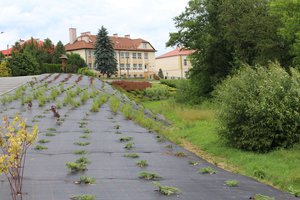 Zagospodarowanie terenu Etap II 2018 - 20180406_0006.jpg