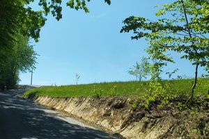 Sliwiński - img_20220519_115117.jpg