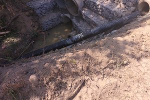 Sliwiński - img_20220629_134201.jpg