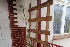 Inwestycja w trakcie realizacji - 11002.jpg