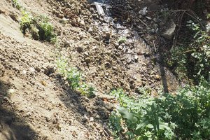 wielopole - sośnice - jaszczurowa 2018 - 20180424_084118.jpg