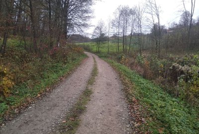 Przebudowa drogi Wielopole Sośnice - Rzeki - Etap I