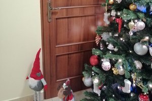 Przed realizacją - 1014.jpg