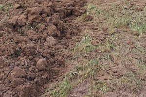 Realizacja zadania - 11..jpg