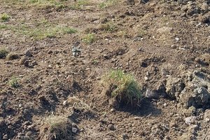 kanalizacja Nawsie - 6.jpg