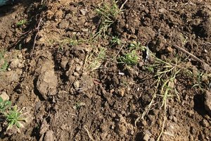 W trakcie realizacji - 118401681_731805037545540_438346787098841644_n.jpg