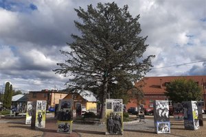 Ukradzione dzieciństwo - 005.jpg