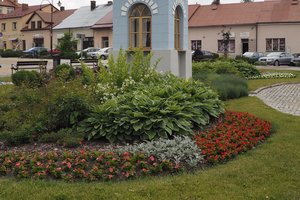 Nasadzenia - p1011933.jpg