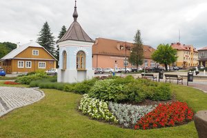 Nasadzenia - p1011934.jpg