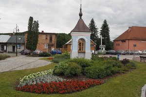 Nasadzenia - p1011935.jpg