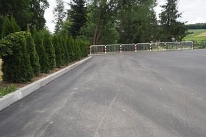 Nasadzenia - p1011937.jpg