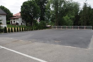 Nasadzenia - p1011941.jpg