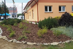 Nasadzenia - p1011945.jpg