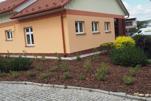 Nasadzenia - p1011946.jpg