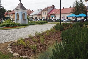 Nasadzenia - p1011949.jpg