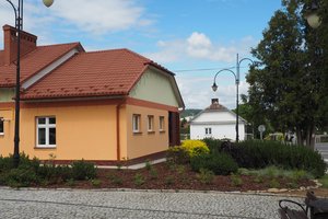 Nasadzenia - p1011952.jpg