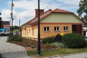 Nasadzenia - p1011954.jpg