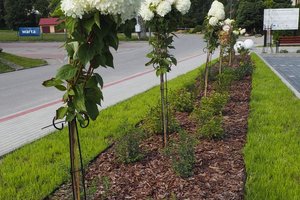 Zakończona realizacja inwestycji - 1017298.jpg