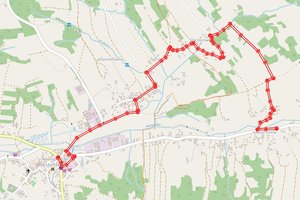 Proponowany objazd dla samochodów do DMC 3,5 t - objazd_nawsie.jpg