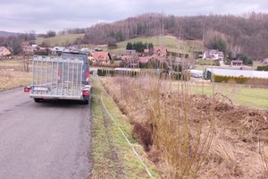 W trakcje realizacji- Oświetlenie przy dr Wielopole -Podliwek - img_20240220_112510.jpg