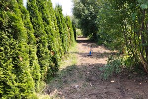 Inwetycja zakończona - img_20230719_130010.jpg