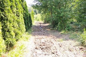 Inwetycja zakończona - img_20230719_130039.jpg