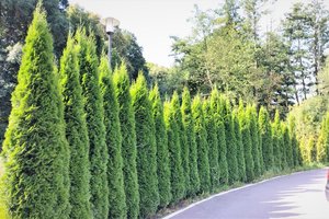 Inwetycja zakończona - img_20230809_093115.jpg