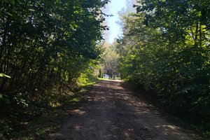 W trakcje realizacji - img_20230929_131859.jpg