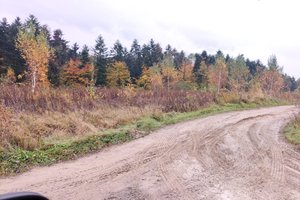 W trakcje realizacji - img_20231026_105642.jpg