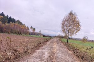 W trakcje realizacji - img_20231026_110034.jpg