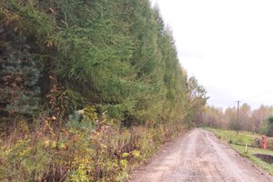 W trakcje realizacji - img_20231026_110314.jpg