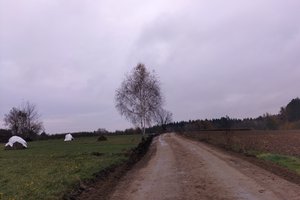 W trakcje realizacji - img_20231108_102740.jpg