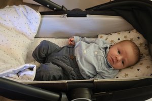 Pierwsi mieszkańcy w 2024 roku - img_4357.jpg