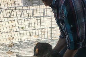 Piesek - img20250612111144.jpg