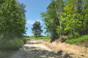 podlasek - img_20230601_130253.jpg