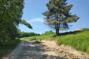 podlasek - img_20230601_130300.jpg