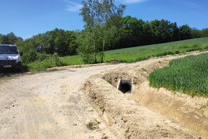 podlasek - img_20230601_130627.jpg