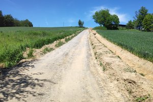 podlasek - img_20230601_130648.jpg