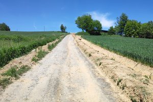 podlasek - img_20230601_131134.jpg