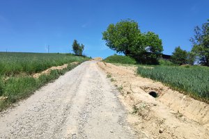 podlasek - img_20230601_131156.jpg