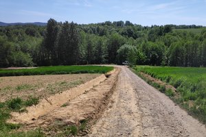 podlasek - img_20230601_131244.jpg