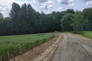 podlasek - img_20230619_104254_1.jpg