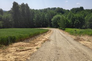 podlasek - img_20230620_112442.jpg